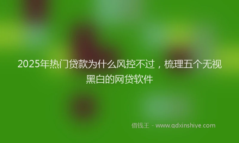 2025年热门贷款为什么风控不过，梳理五个无视黑白的网贷软件