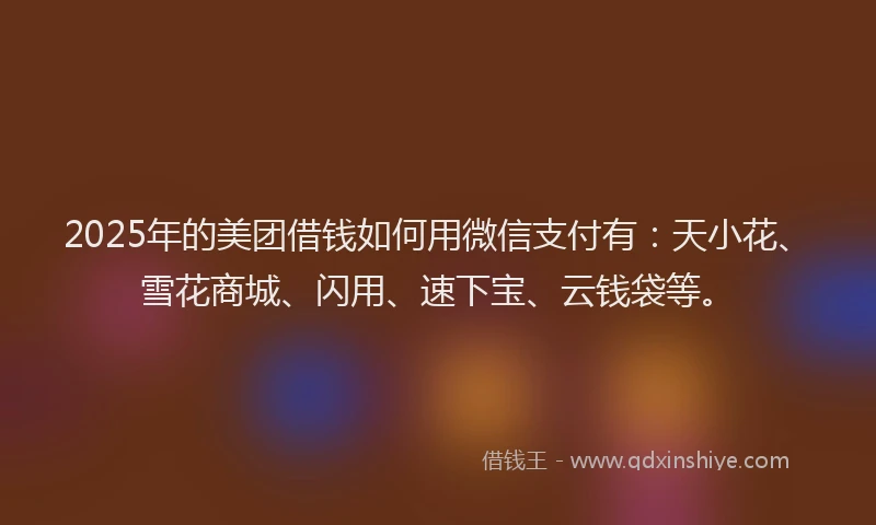 2025年的美团借钱如何用微信支付有：天小花、雪花商城、闪用、速下宝、云钱袋等。