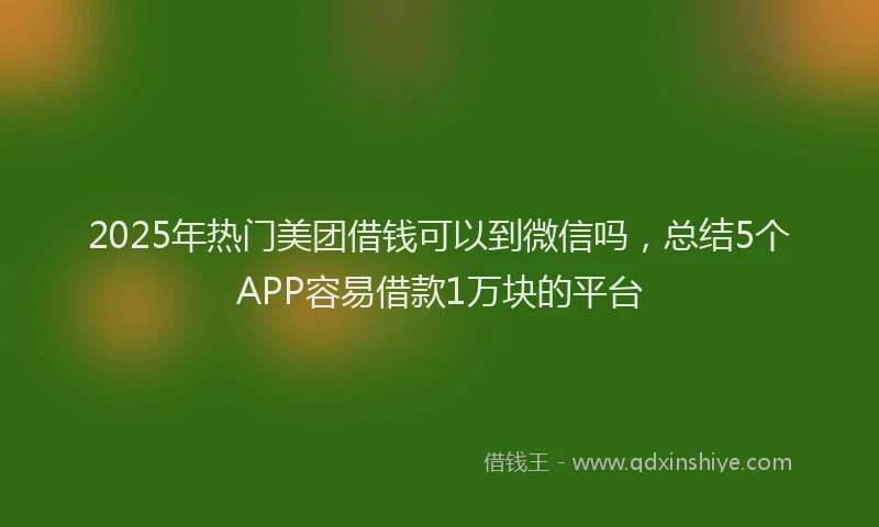 2025年热门美团借钱可以到微信吗，总结5个APP容易借款1万块的平台