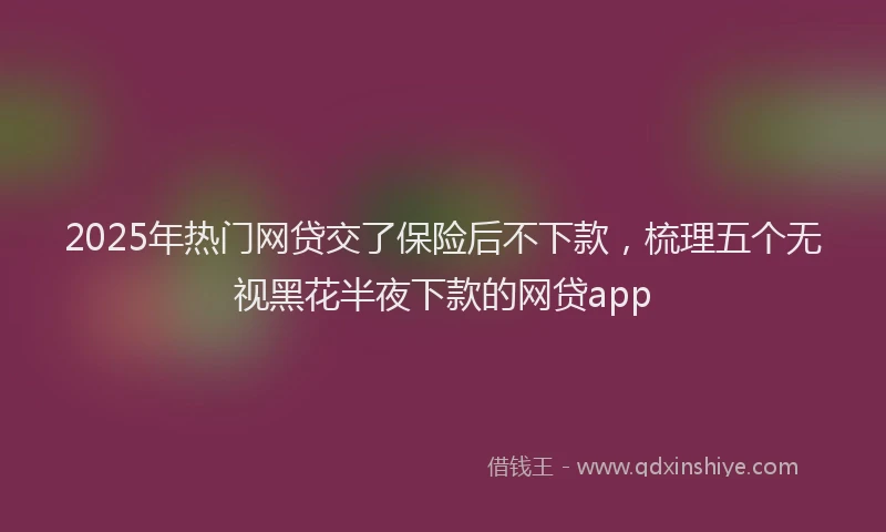 2025年热门网贷交了保险后不下款，梳理五个无视黑花半夜下款的网贷app