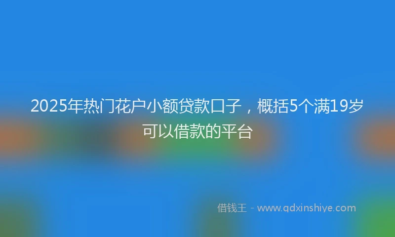 2025年热门花户小额贷款口子，概括5个满19岁可以借款的平台