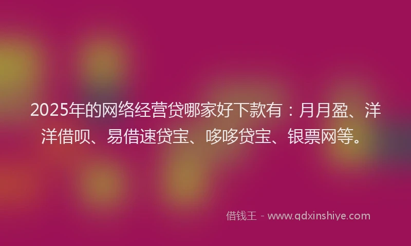 2025年的网络经营贷哪家好下款有：月月盈、洋洋借呗、易借速贷宝、哆哆贷宝、银票网等。