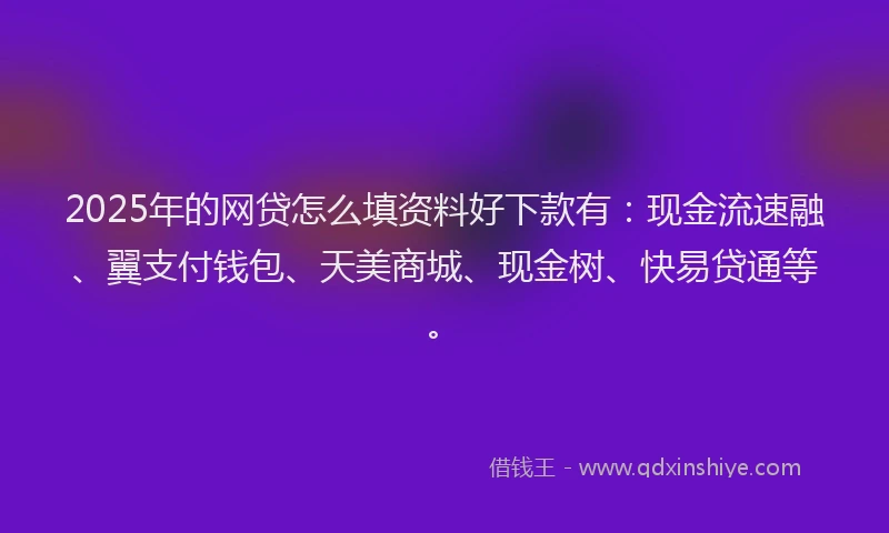 2025年的网贷怎么填资料好下款有：现金流速融、翼支付钱包、天美商城、现金树、快易贷通等。