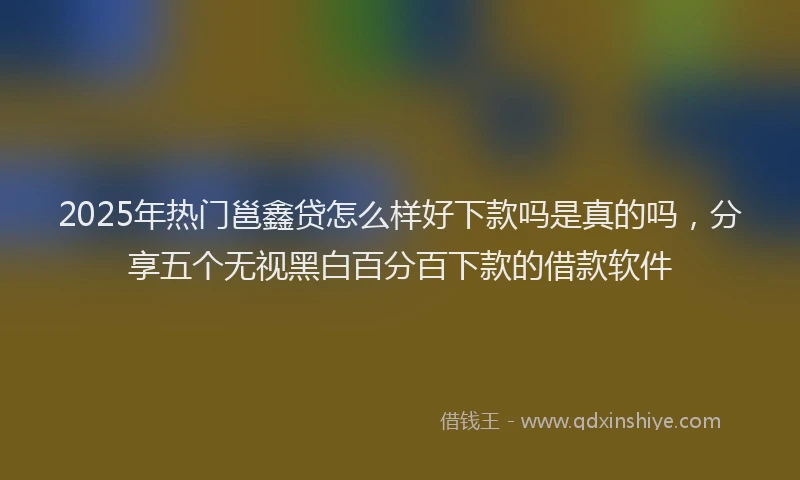 2025年热门邕鑫贷怎么样好下款吗是真的吗，分享五个无视黑白百分百下款的借款软件