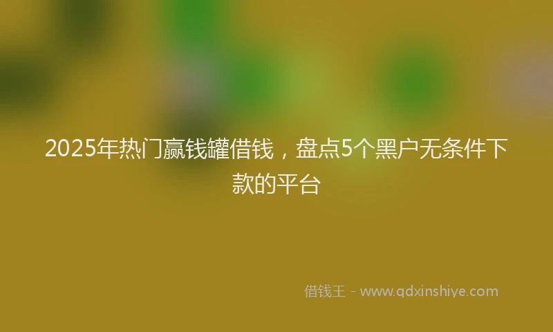2025年热门赢钱罐借钱，盘点5个黑户无条件下款的平台