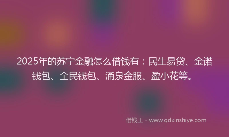 2025年的苏宁金融怎么借钱有：民生易贷、金诺钱包、全民钱包、涌泉金服、盈小花等。