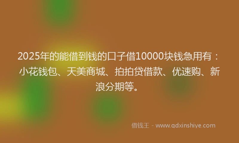 2025年的能借到钱的口子借10000块钱急用有：小花钱包、天美商城、拍拍贷借款、优速购、新浪分期等。