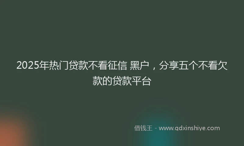 2025年热门贷款不看征信 黑户，分享五个不看欠款的贷款平台