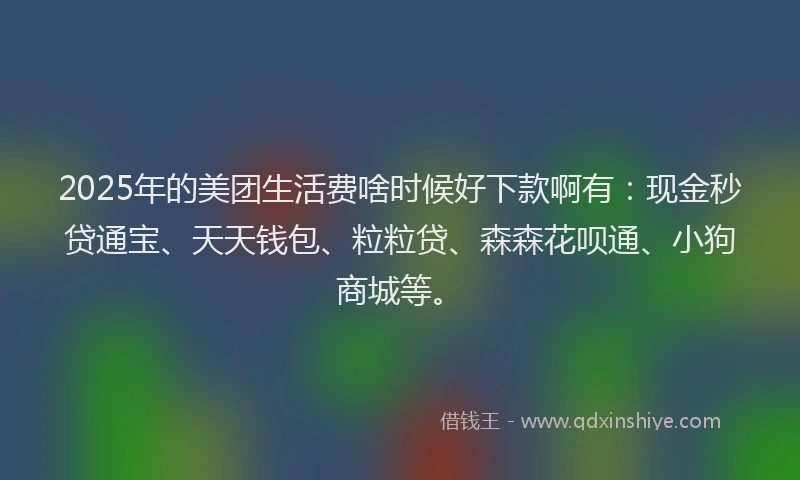 2025年的美团生活费啥时候好下款啊有：现金秒贷通宝、天天钱包、粒粒贷、森森花呗通、小狗商城等。