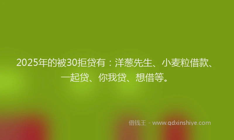 2025年的被30拒贷有：洋葱先生、小麦粒借款、一起贷、你我贷、想借等。