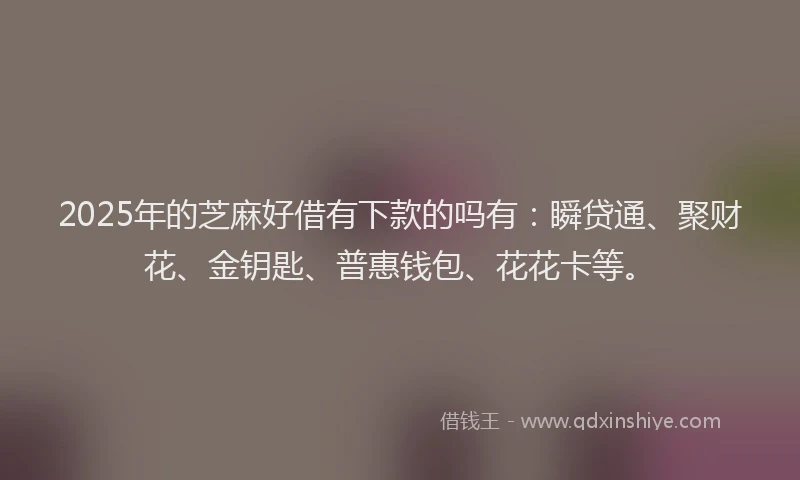 2025年的芝麻好借有下款的吗有：瞬贷通、聚财花、金钥匙、普惠钱包、花花卡等。