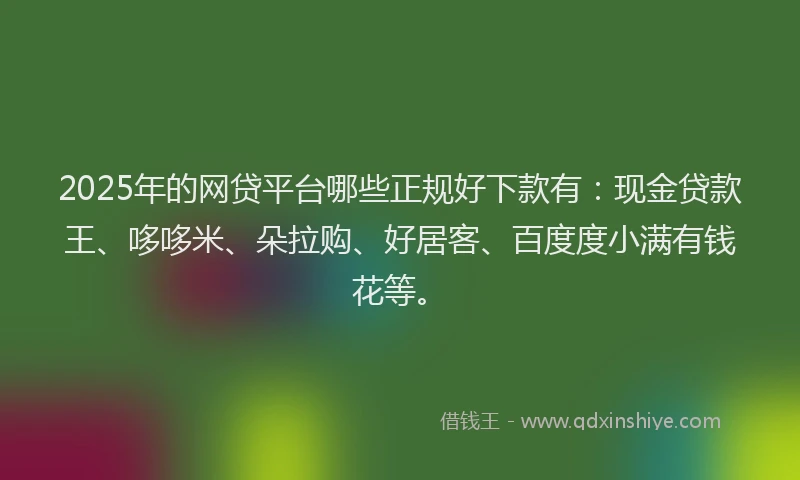 2025年的网贷平台哪些正规好下款有：现金贷款王、哆哆米、朵拉购、好居客、百度度小满有钱花等。
