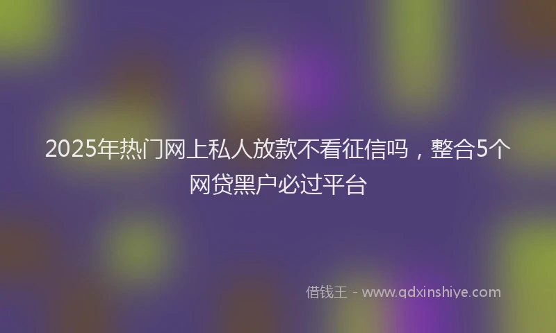 2025年热门网上私人放款不看征信吗，整合5个网贷黑户必过平台