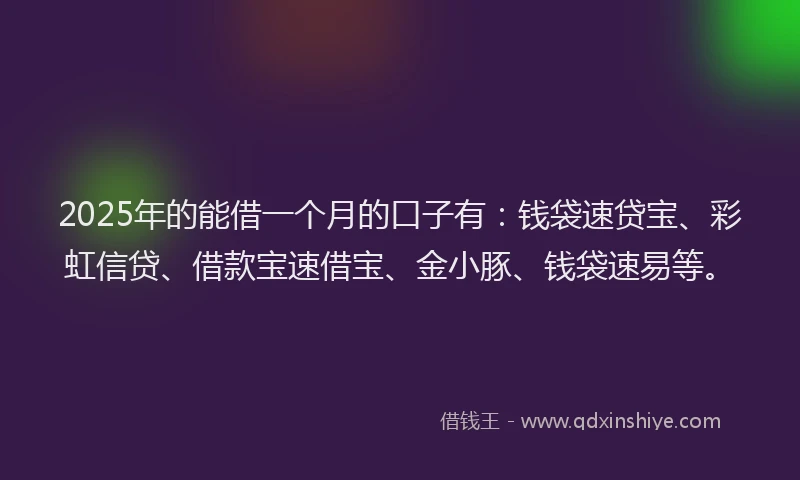 2025年的能借一个月的口子有：钱袋速贷宝、彩虹信贷、借款宝速借宝、金小豚、钱袋速易等。