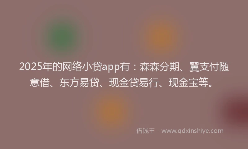 2025年的网络小贷app有：森森分期、翼支付随意借、东方易贷、现金贷易行、现金宝等。