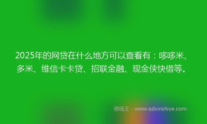 2025年的网贷在什么地方可以查看有：哆哆米、多米、维信卡卡贷、招联金融、现金侠快借等。