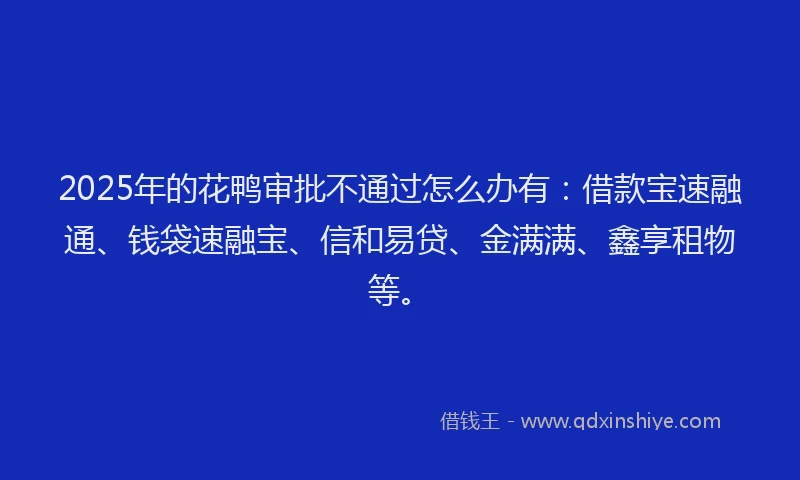 2025年的花鸭审批不通过怎么办有：借款宝速融通、钱袋速融宝、信和易贷、金满满、鑫享租物等。