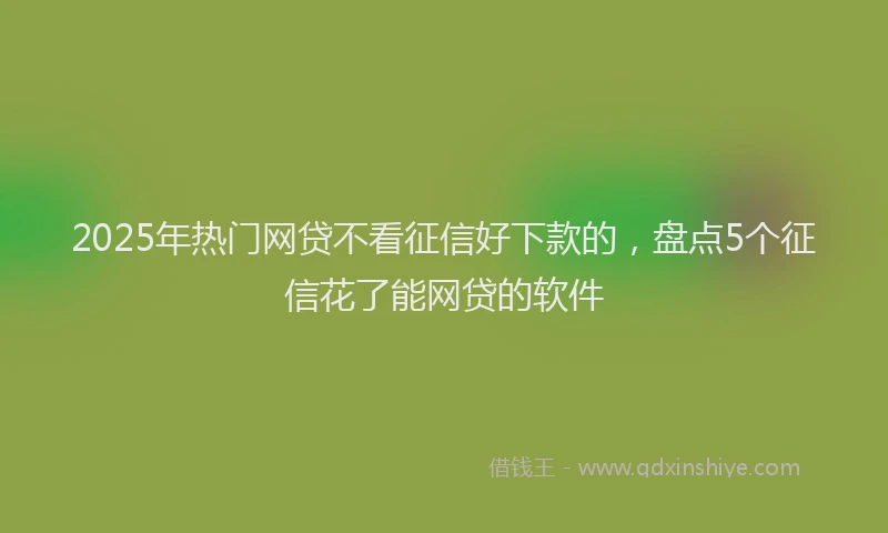 2025年热门网贷不看征信好下款的，盘点5个征信花了能网贷的软件