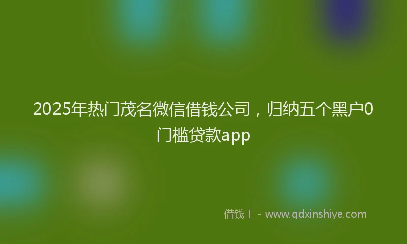 2025年热门茂名微信借钱公司，归纳五个黑户0门槛贷款app