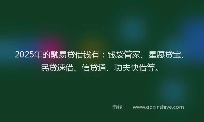 2025年的融易贷借钱有：钱袋管家、星愿贷宝、民贷速借、信贷通、功夫快借等。