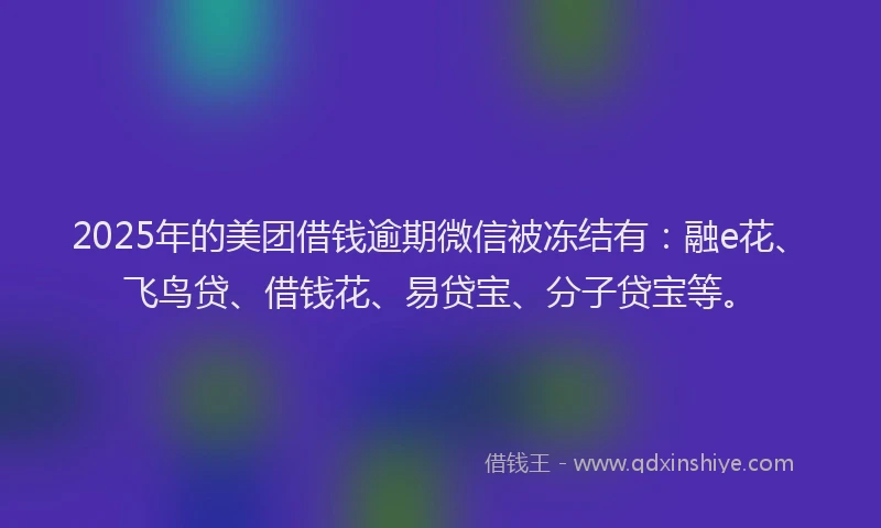 2025年的美团借钱逾期微信被冻结有：融e花、飞鸟贷、借钱花、易贷宝、分子贷宝等。