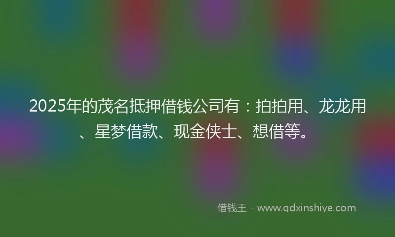 2025年的茂名抵押借钱公司有：拍拍用、龙龙用、星梦借款、现金侠士、想借等。