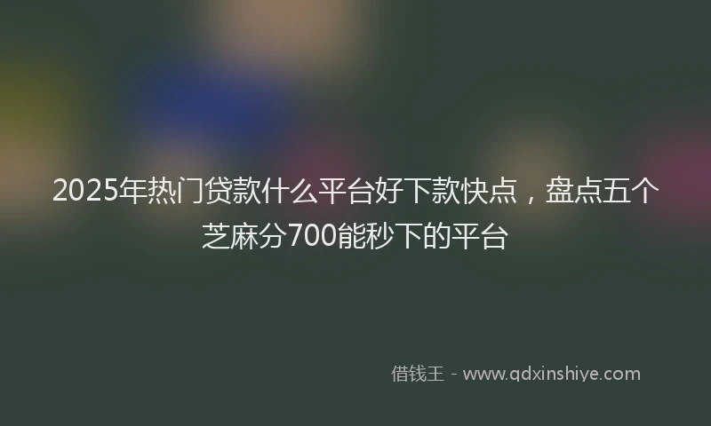 2025年热门贷款什么平台好下款快点，盘点五个芝麻分700能秒下的平台
