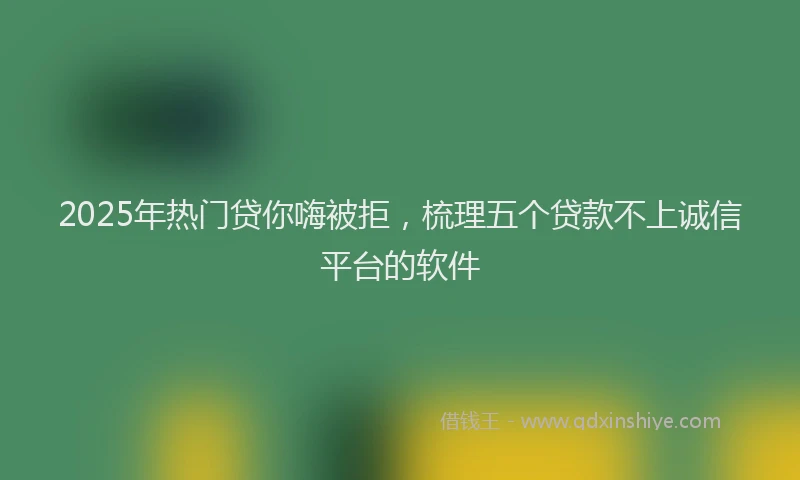 2025年热门贷你嗨被拒，梳理五个贷款不上诚信平台的软件