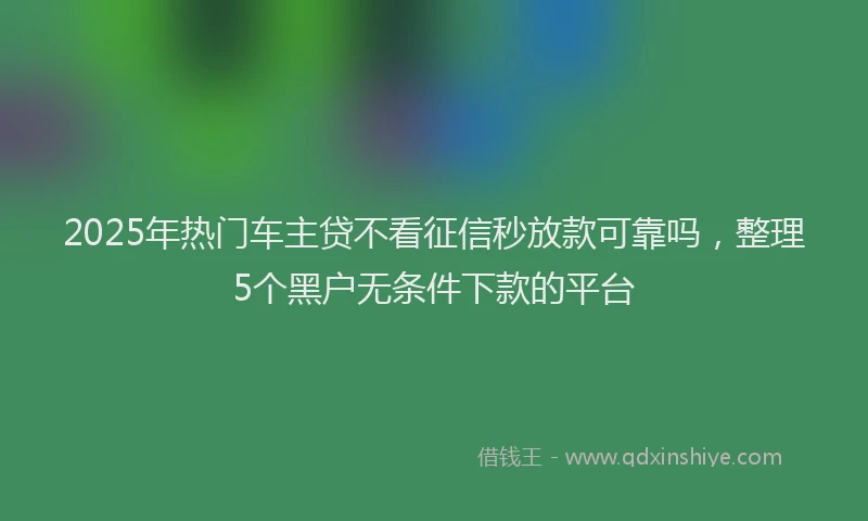 2025年热门车主贷不看征信秒放款可靠吗,整理5个黑户无条件下款的平台