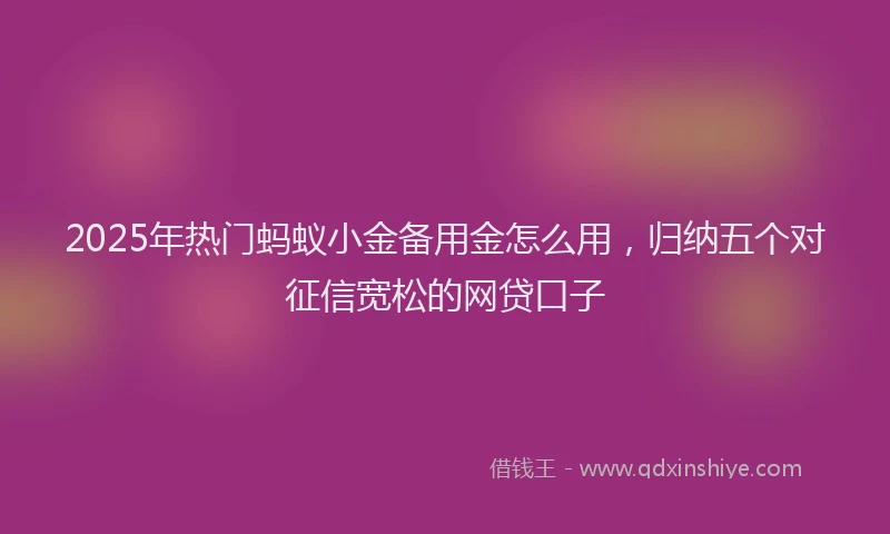 2025年热门蚂蚁小金备用金怎么用，归纳五个对征信宽松的网贷口子
