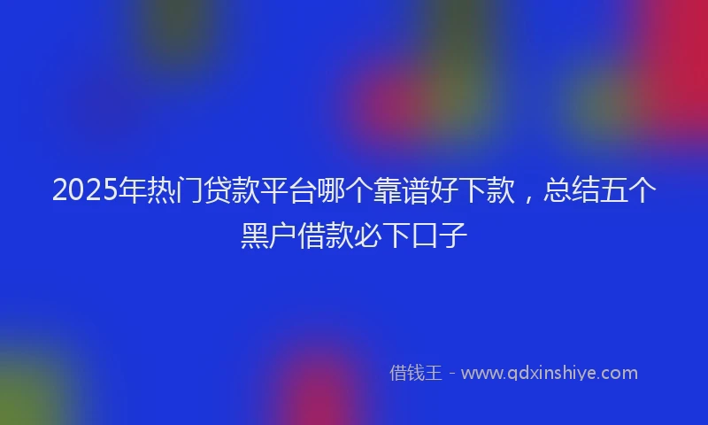 2025年热门贷款平台哪个靠谱好下款，总结五个黑户借款必下口子