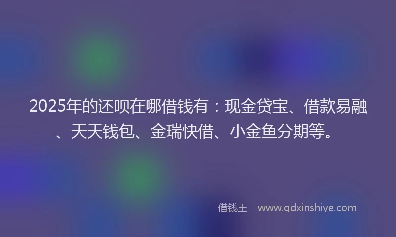 2025年的还呗在哪借钱有：现金贷宝、借款易融、天天钱包、金瑞快借、小金鱼分期等。