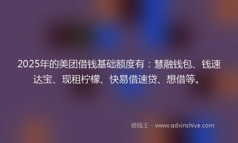 2025年的美团借钱基础额度有：慧融钱包、钱速达宝、现租柠檬、快易借速贷、想借等。