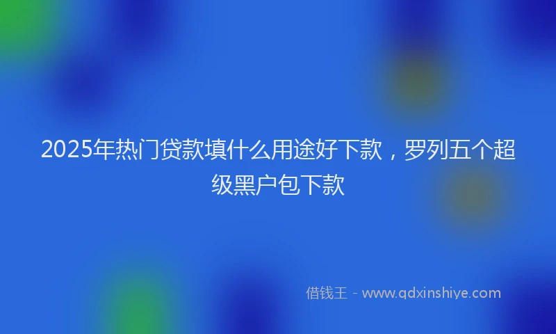 2025年热门贷款填什么用途好下款，罗列五个超级黑户包下款