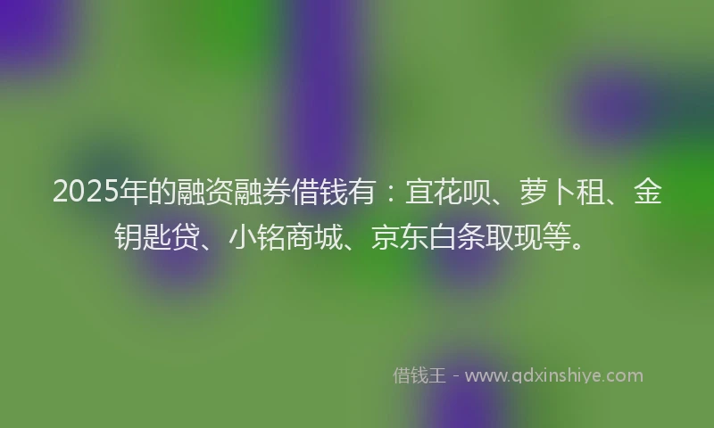 2025年的融资融券借钱有：宜花呗、萝卜租、金钥匙贷、小铭商城、京东白条取现等。