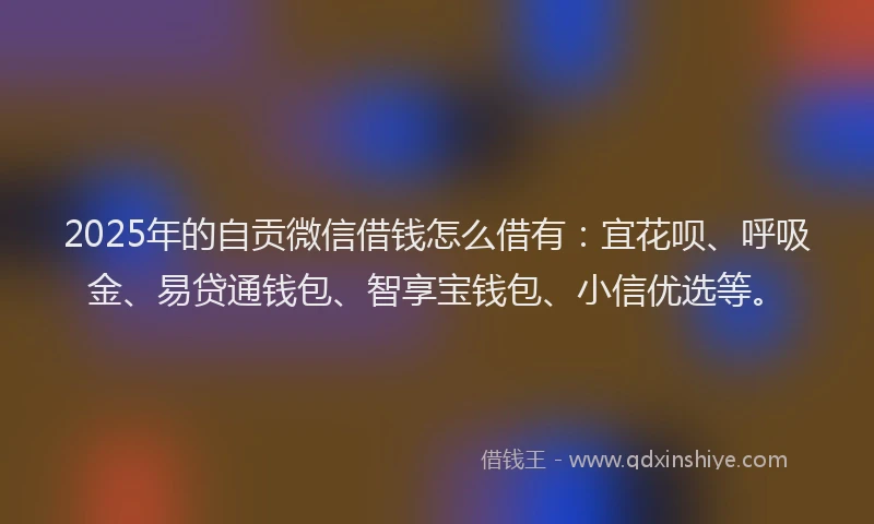2025年的自贡微信借钱怎么借有：宜花呗、呼吸金、易贷通钱包、智享宝钱包、小信优选等。