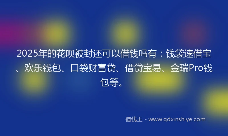 2025年的花呗被封还可以借钱吗有：钱袋速借宝、欢乐钱包、口袋财富贷、借贷宝易、金瑞Pro钱包等。