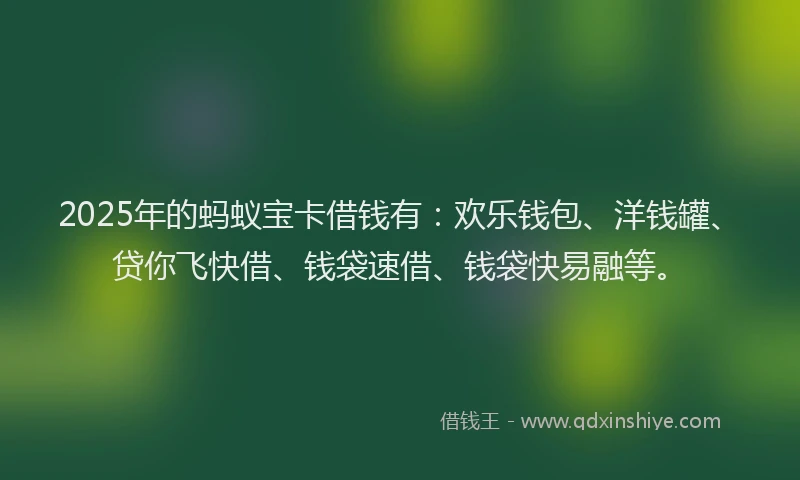 2025年的蚂蚁宝卡借钱有：欢乐钱包、洋钱罐、贷你飞快借、钱袋速借、钱袋快易融等。