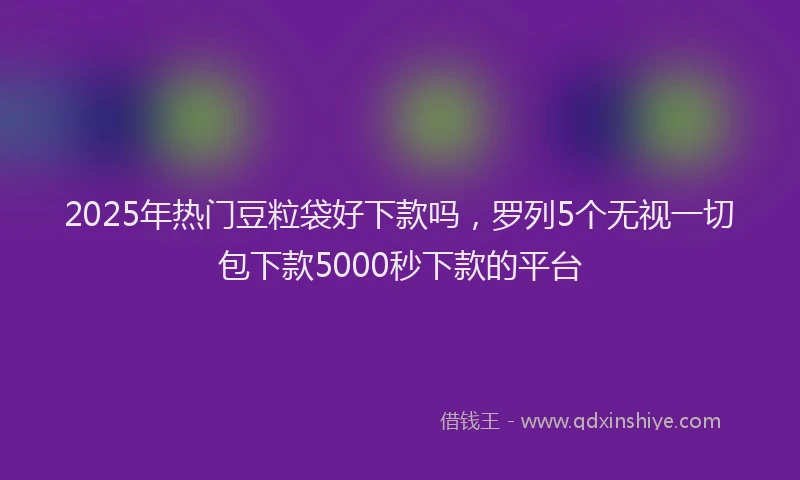 2025年热门豆粒袋好下款吗，罗列5个无视一切包下款5000秒下款的平台