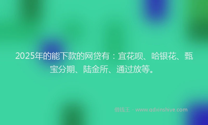 2025年的能下款的网贷有：宜花呗、哈银花、甄宝分期、陆金所、通过放等。
