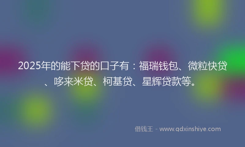 2025年的能下贷的口子有：福瑞钱包、微粒快贷、哆来米贷、柯基贷、星辉贷款等。