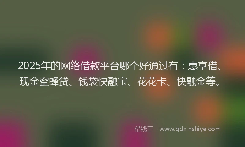2025年的网络借款平台哪个好通过有：惠享借、现金蜜蜂贷、钱袋快融宝、花花卡、快融金等。