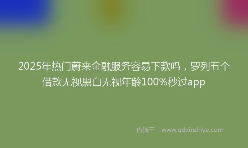 2025年热门蔚来金融服务容易下款吗，罗列五个借款无视黑白无视年龄100%秒过app