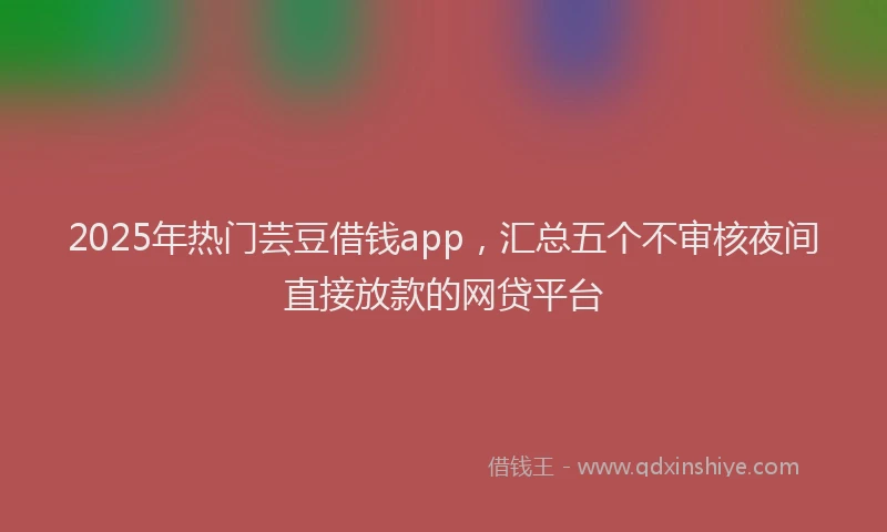 2025年热门芸豆借钱app，汇总五个不审核夜间直接放款的网贷平台