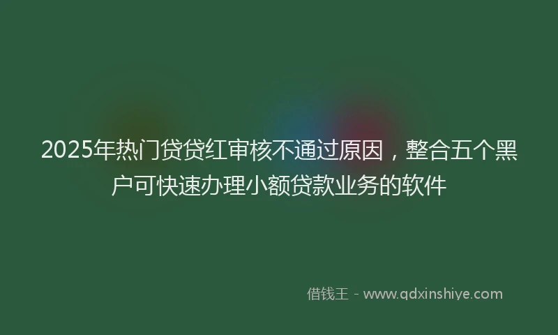 2025年热门贷贷红审核不通过原因，整合五个黑户可快速办理小额贷款业务的软件