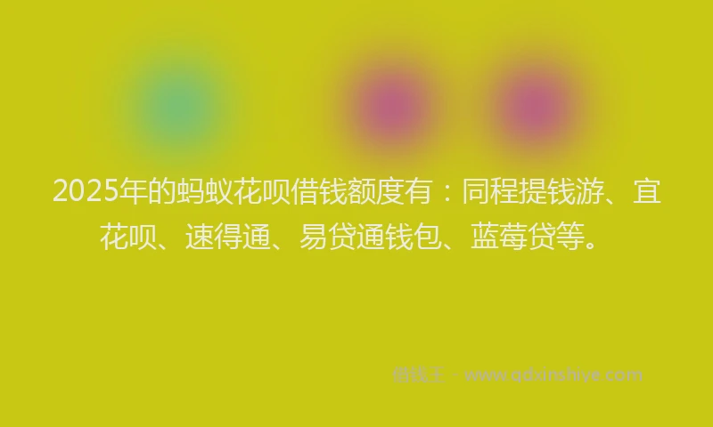 2025年的蚂蚁花呗借钱额度有：同程提钱游、宜花呗、速得通、易贷通钱包、蓝莓贷等。