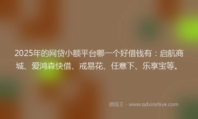 2025年的网贷小额平台哪一个好借钱有：启航商城、爱鸿森快借、戒易花、任意下、乐享宝等。
