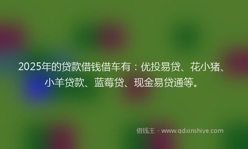 2025年的贷款借钱借车有：优投易贷、花小猪、小羊贷款、蓝莓贷、现金易贷通等。