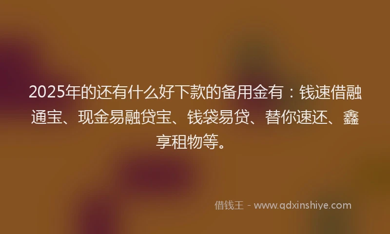 2025年的还有什么好下款的备用金有：钱速借融通宝、现金易融贷宝、钱袋易贷、替你速还、鑫享租物等。