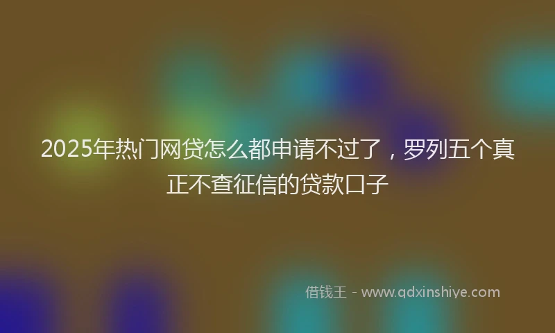 2025年热门网贷怎么都申请不过了，罗列五个真正不查征信的贷款口子